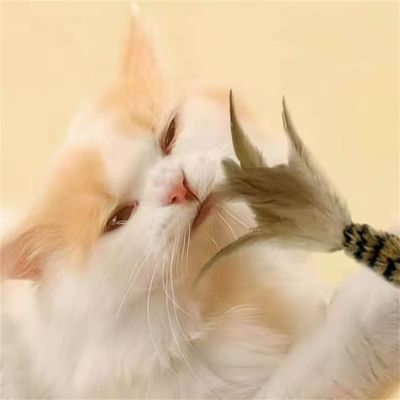 FurryFusion Bâton à Chat avec Plumes et Cloche
