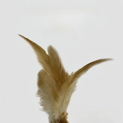 FurryFusion Bâton à Chat avec Plumes et Cloche