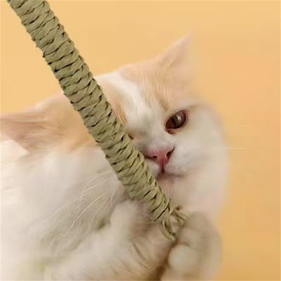 FurryFusion Bâton à Chat avec Plumes et Cloche