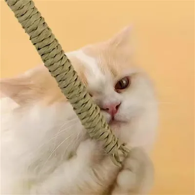 FurryFusion Bâton à Chat avec Plumes et Cloche