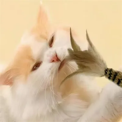 FurryFusion Bâton à Chat avec Plumes et Cloche