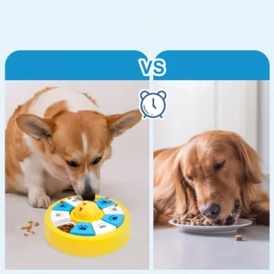 FurryFusion Bol anti - glouton et jouet à friandises pour chien