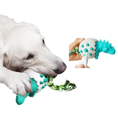 FurryFusion Jouet pour chien en forme d'œuf de dinosaure