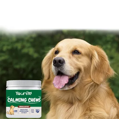 FurryFusion Complément Alimentaire Apaisant pour Chiens