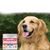 FurryFusion Chewables d'huile de poisson pour chiens