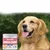 FurryFusion Chewables d'huile de poisson pour chiens