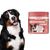 FurryFusion Comprimés de supplément vitaminique pour animaux de compagnie