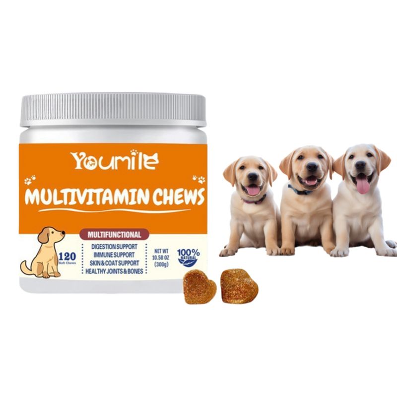 FurryFusion Complément Vitaminique Multifonctionnel pour Chiens