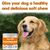 FurryFusion Complément Vitaminique Multifonctionnel pour Chiens