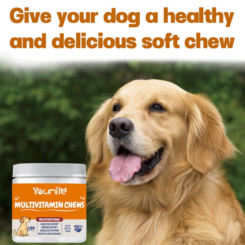 FurryFusion Complément Vitaminique Multifonctionnel pour Chiens