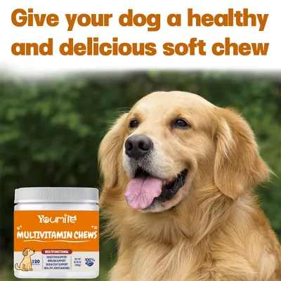 FurryFusion Complément Vitaminique Multifonctionnel pour Chiens FurryFusion Complément Vitaminique Multifonctionnel pour Chiens