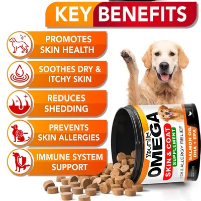 FurryFusion Complément Alimentaire à l'Huile de Poisson