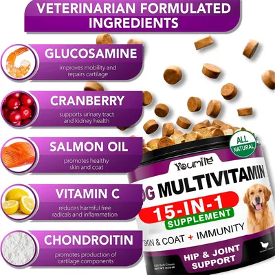 FurryFusion Complément Vitaminique Canin FurryFusion Complément Vitaminique Canin