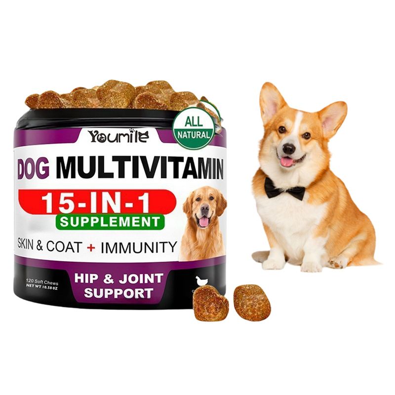 FurryFusion Complément Vitaminique Canin