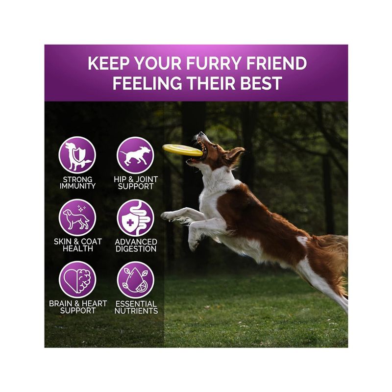 FurryFusion Complément Vitaminique Canin