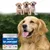 FurryFusion Complément pour Hanches Canines FurryFusion Complément pour Hanches Canines
