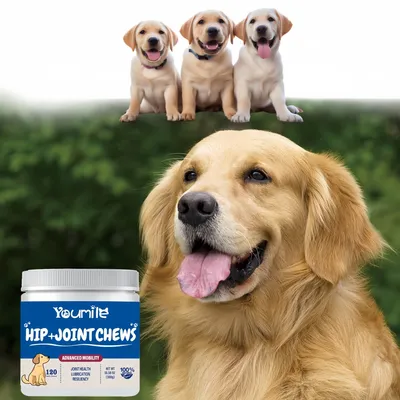 FurryFusion Complément pour Hanches Canines FurryFusion Complément pour Hanches Canines