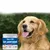 FurryFusion Complément pour Hanches Canines FurryFusion Complément pour Hanches Canines