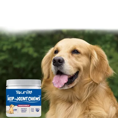 FurryFusion Complément pour Hanches Canines FurryFusion Complément pour Hanches Canines