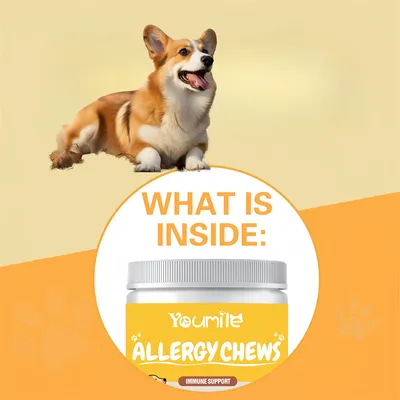 FurryFusion Comprimés Anti-allergiques pour Chiens