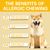 FurryFusion Comprimés Anti-allergiques pour Chiens