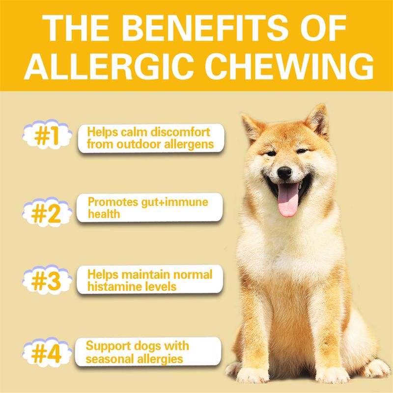 FurryFusion Comprimés Anti-allergiques pour Chiens