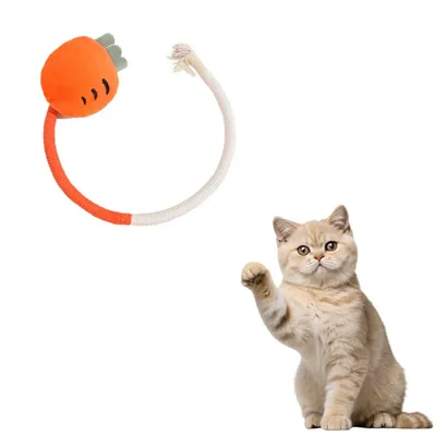 FurryFusion Jouet de corde à mâcher pour chat