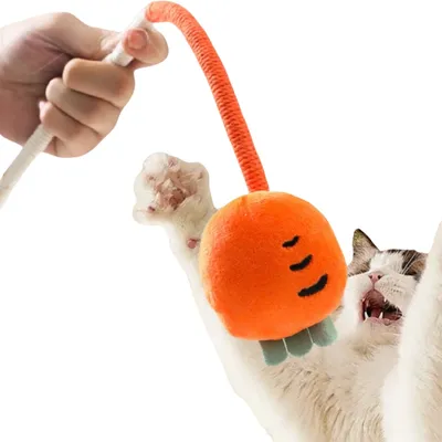 FurryFusion Jouet de corde à mâcher pour chat