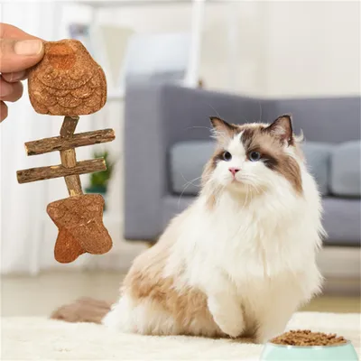 FurryFusion Os de Poisson en Catnip pour Chats