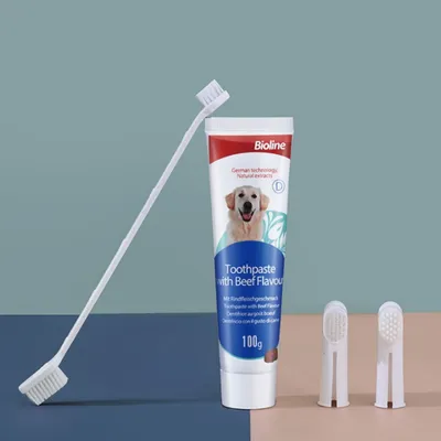 FurryFusion Ensemble de dentifrice et brosse à dents pour animaux