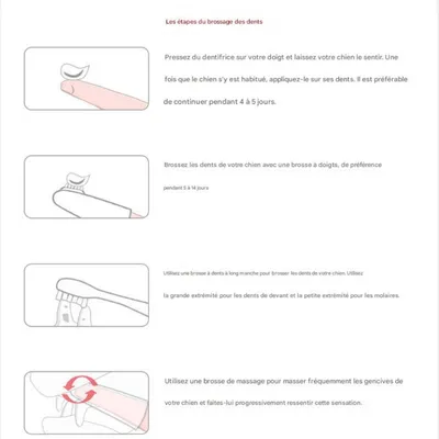 FurryFusion Ensemble de dentifrice et brosse à dents pour animaux