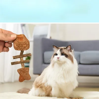 FurryFusion Espinas de pescado en hierba gatera para gatos