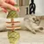 FurryFusion Os de Poisson en Catnip pour Chats