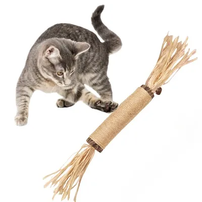 FurryFusion Gros Bâton de Rongement en Catnip