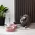 IntiMeg Double gamelle d'eau automatique pour chien et chat