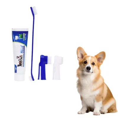 FurryFusion Ensemble de brosses à dents pour chat et chien