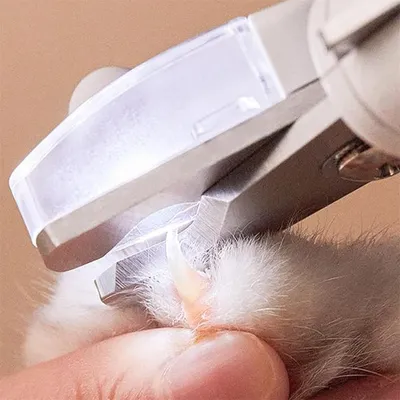 FurryFusion Coupe-griffes pour chat avec lumière LED