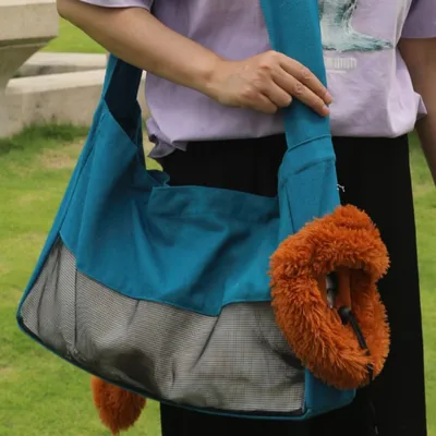 FurryFusion Sac pour chat lion