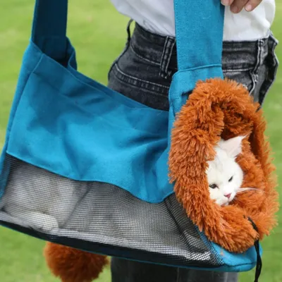 FurryFusion Sac pour chat lion