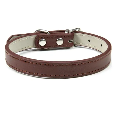 Pet Planet Collier en cuir pour chats et chiens