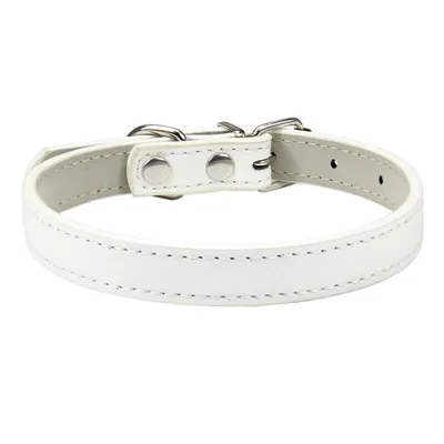 Pet Planet Collier en cuir pour chats et chiens