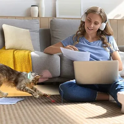 FurryFusion Collier Amusant électrique Intelligent pour Chat