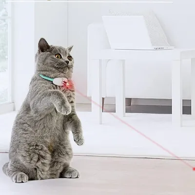FurryFusion Collier Amusant électrique Intelligent pour Chat