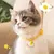 Pet Planet Collier Réglable avec Clochette pour Chaton Pet Planet Collier Réglable avec Clochette pour Chaton