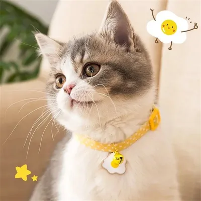 Pet Planet Collier Réglable avec Clochette pour Chaton Pet Planet Collier Réglable avec Clochette pour Chaton