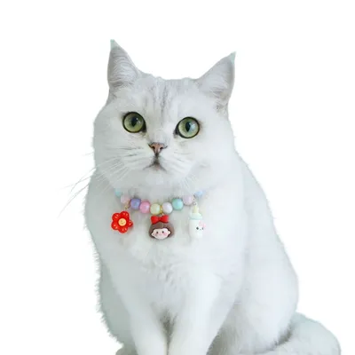 FurryFusion Collier d'anniversaire pour chat style macaron