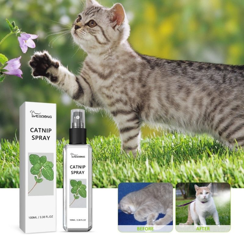 FurryFusion Spray à l'herbe à chat