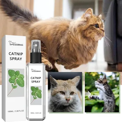 FurryFusion Spray de hierba gatera 100 ml