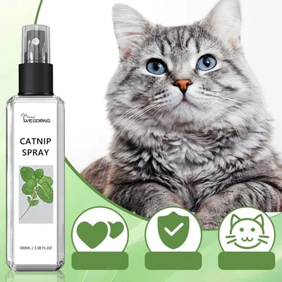 FurryFusion Herbe à Chat Spray 100ml