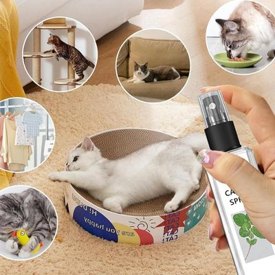 FurryFusion Herbe à Chat Spray 100ml